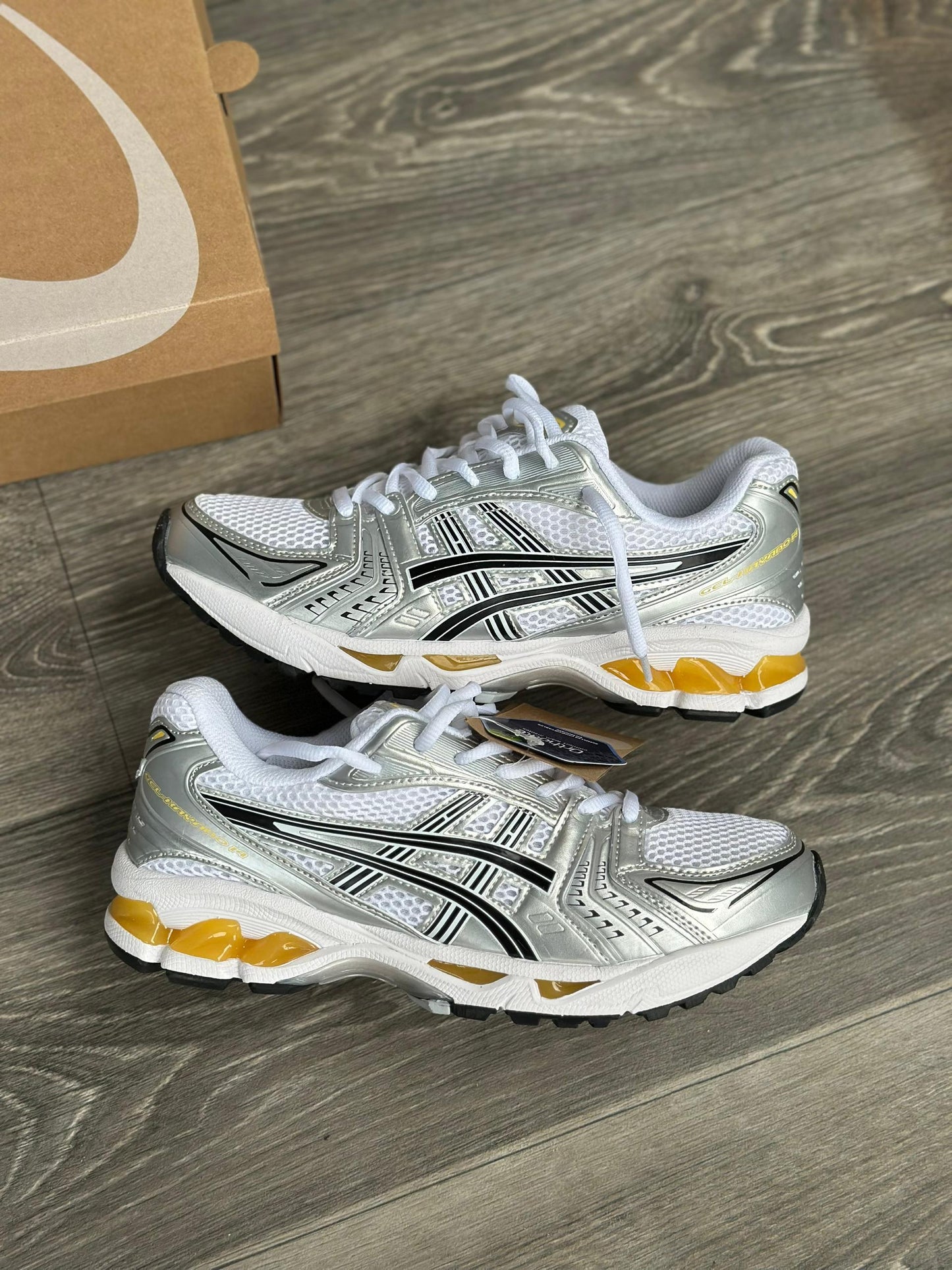 Foot Forward : Asics Gel-Kayano 14