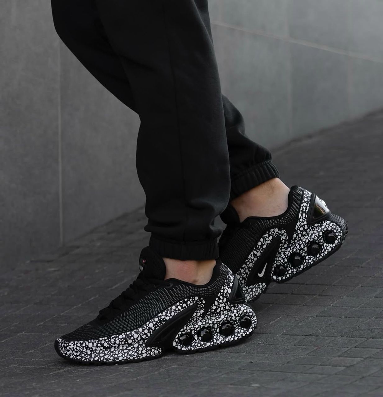 My Sneakers : L'excellence au pied